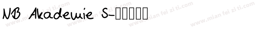 NB Akademie S字体转换
